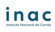 Instituciones Academicas